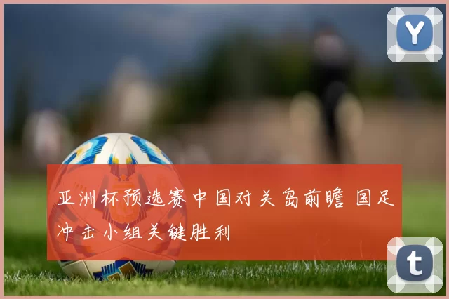 亚洲杯预选赛中国对关岛前瞻 国足冲击小组关键胜利