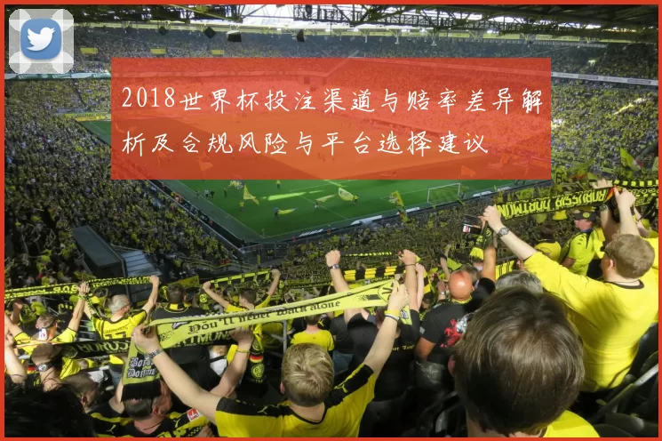 2018世界杯投注渠道与赔率差异解析及合规风险与平台选择建议