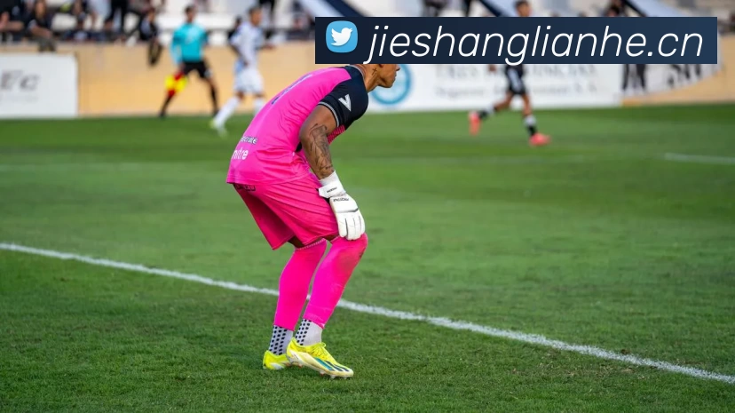 App Interface Preview